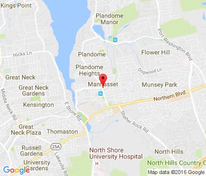 logo-image - Manhasset-NY